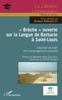 "brèche" ouverte sur la langue de Barbarie à Saint Louis - esquisse de bilan d'un aménagement précipité