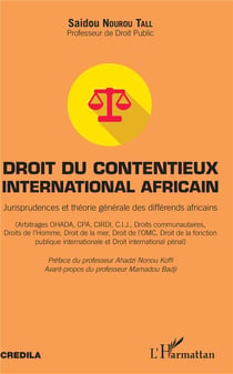 Droit du contentieux international africain - jurisprudence et théorie générale des differends africains