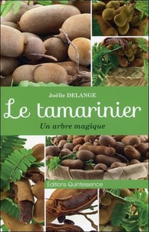 Le tamarinier - un arbre magique