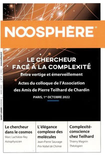Revue Noosphère n.21 : le chercheur face à la complexité