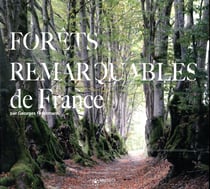Les forêts remarquables de France
