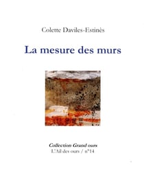 Grand ours - t14 - la mesure des murs
