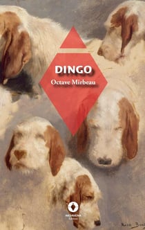 Dingo