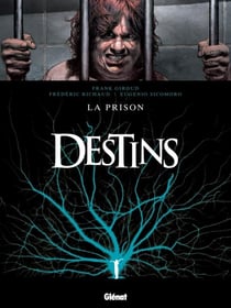 Destins Tome 12 - la prison
