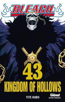Bleach Tome 43 : kingdom of hollow
