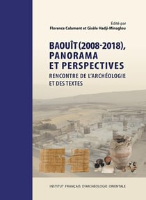 Baouît (2008-2018), panorama et perspectives : rencontre de l'archéologie et des textes