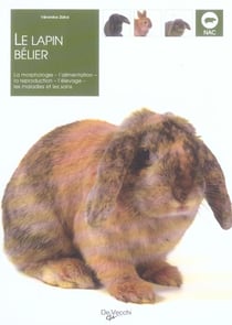 Lapin belier (le)