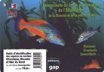 8 plaquettes immergeables découverte de la vie sous-marine de l'Atlantique, de la Manche et de la mer du Nord - poissons, crustacés, invertébrés... - guide d'identification