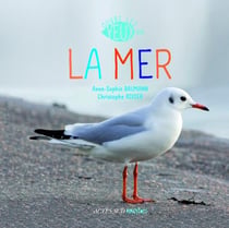 Ouvre les yeux sur la mer