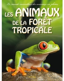 Les animaux de la forêt tropicale