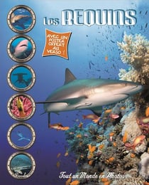 Tout un monde en photos - les requins