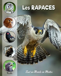 Tout un monde en photos : Les rapaces