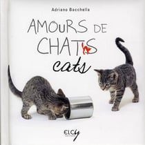 Amours de chats