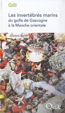 Les invertébrés du Golfe de Gascogne à la Manche orientale