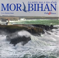 Morbihan - la petite mer à tire-d'aile