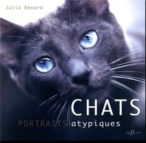 Chats, portraits atypiques