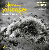 Calendrier animaux sauvages en noir et blanc 2021 (édition 2021)
