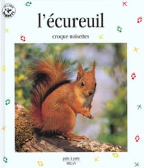 L'ecureuil croque noisettes