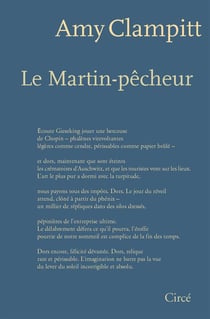 Le martin-pecheur