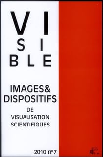 VISIBLE n.7 : camoufler le visible, exhiber l'invisible (édition 2010)
