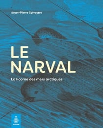 Le narval : la licorne des mers arctiques