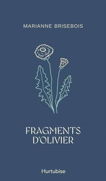 Fragments d'olivier