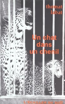 Un chat dans un chenil