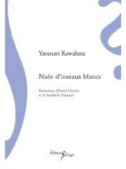 Nuée d'oiseaux blancs