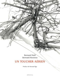 Un toucher aérien