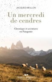 Un mercredi de cendres. chronique et aventures en patagonie
