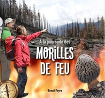 À la poursuite des morilles de feu