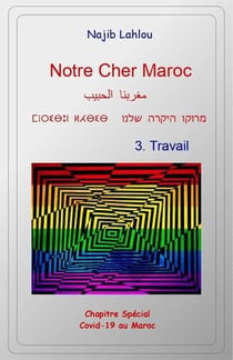 Notre cher Maroc t.3 : travail