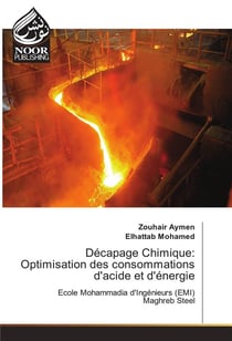 Decapage chimique: optimisation des consommations d'acide et d'energie