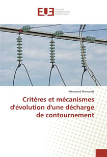 Criteres et mecanismes d'evolution d'une decharge de contournement