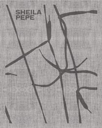 Sheila pepe - hot mess formalism