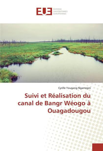 Suivi et realisation du canal de bangr weogo a ouagadougou
