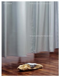 Edith Dekyndt : Tell us something that nobody knows