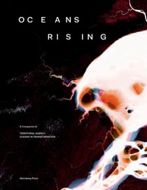 Oceans rising : a companion to ?territorial agency: oceans in transformation?