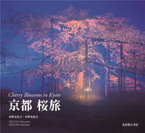 Cherry blossoms in kyoto