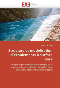 Structure et modelisation d ecoulements a surface libre