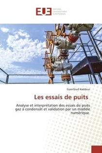 Les essais de puits : Analyse et interprEtation des essais de puits gaz A condensAt et validation par un modéle numérique