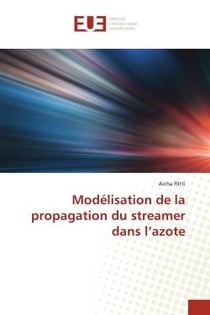 Modélisation de la propagation du streamer dans l'azote