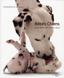 Bebes chiens - jolies truffes et ventres doux