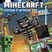 Multimedia Shop  Magasin de Jeux-Vidéo & Cyber Café - Acheter Minecraft  calendrier 2019 (Anglais)