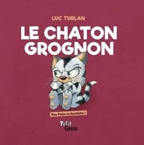 Chaton grognon