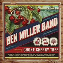 Choke cherry tree