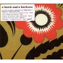 A hawk and a hacksaw