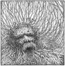Nemorous