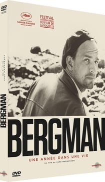 Bergman, une année dans une vie