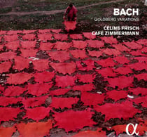 Goldberg variations